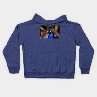 Peacock Kids Hoodie